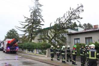 Sturmeinsatz im Stadtgebiet / Foto: Presseteam d. FF Wr. Neustadt