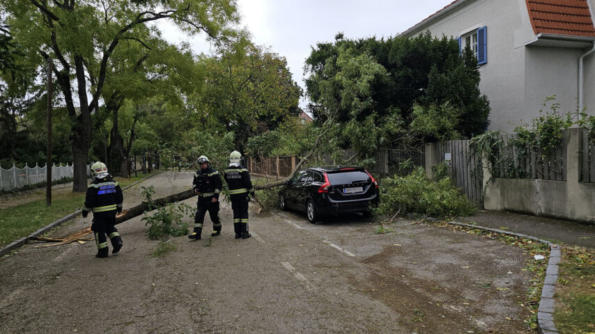 Sturmeinsatz in Wiener Neustadt / Foto: Presseteam d. FF Wr. Neustadt