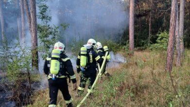 Waldbrand Föhrenwald / Foto: Presseteam d. FF Wr. Neustadt